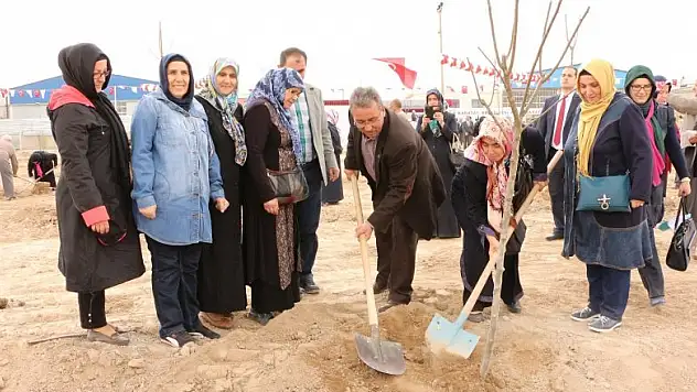 Karatay'da herkesin bir dikili ağacı var
