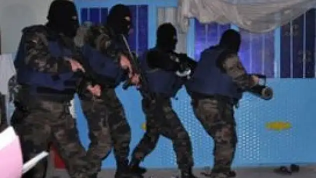 Nusaybin'de üst düzey PKK'lı öldürüldü