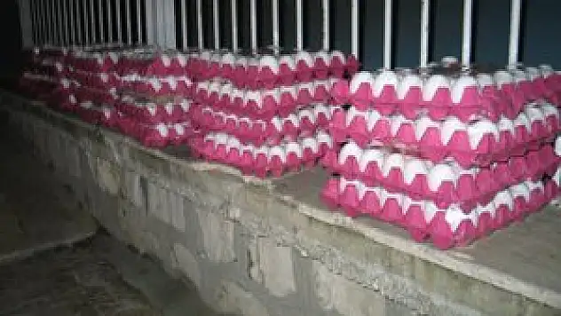 Konya'da depodan yumurta hırsızlığı