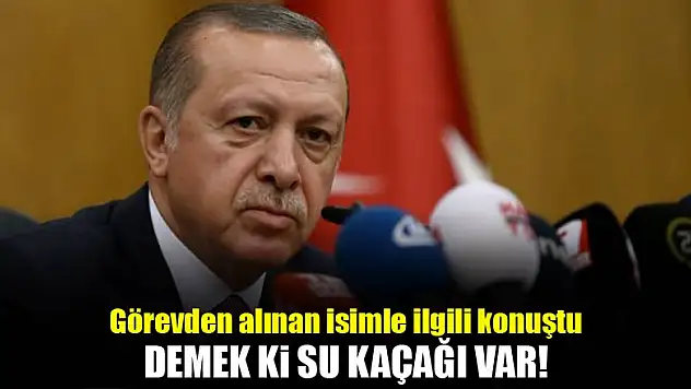 Cumhurbaşkanı Erdoğan: Bu işte bir su kaçağı var