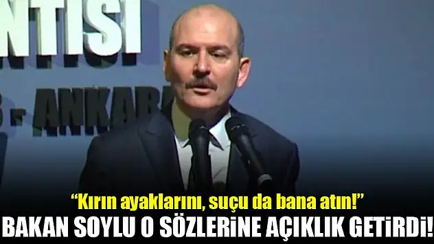 Bakan Soylu o sözlerinin nedenini açıkladı