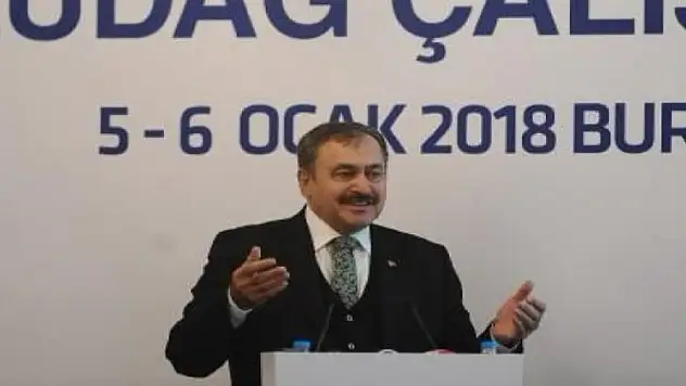 Bakan Eroğlu: Adam tuvalet izni almış, otel yapmış