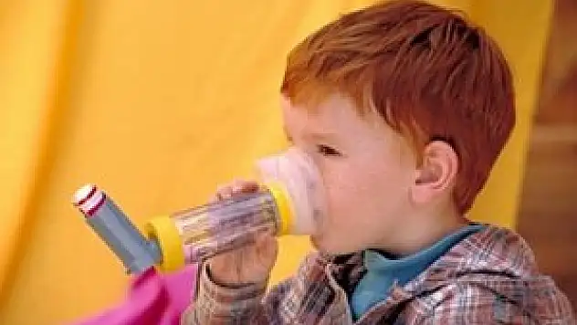 Lifli besinler astım tedavisinde fayda sağlıyor