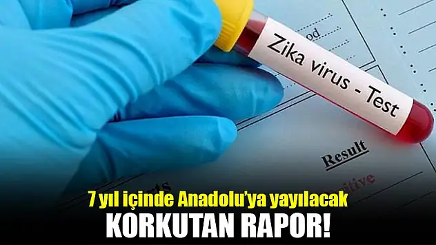 7 yıl içinde Anadolu'ya yayılacak!