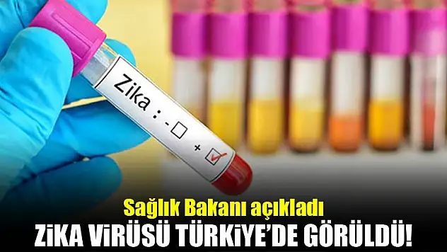 Bakan açıkladı: Zika virüsü Türkiye'de görüldü!