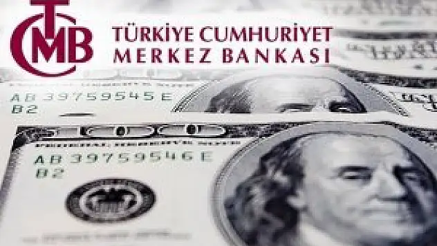 Merkez Bankası'nın rezervleri geriledi