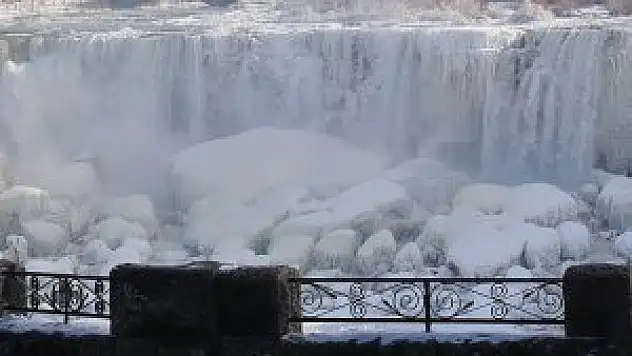 Niagara Şelalesi buz tuttu