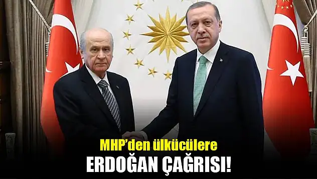 MHP'den ülkücülere Erdoğan çağrısı!