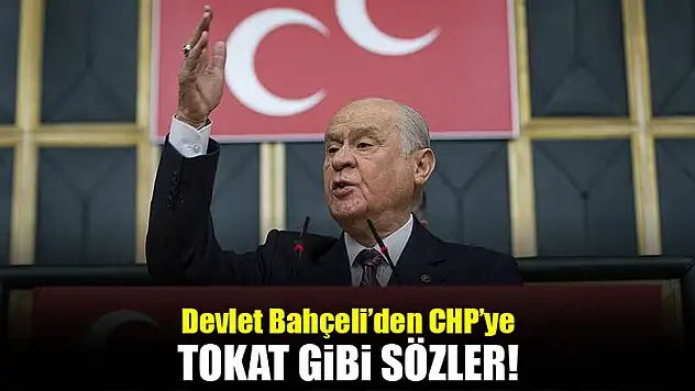 Devlet Bahçeli durumu Erdoğan'ın sözüyle özetledi