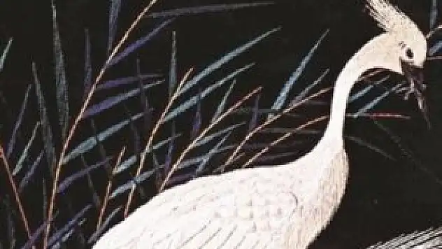 Sarayda Japon hatırası