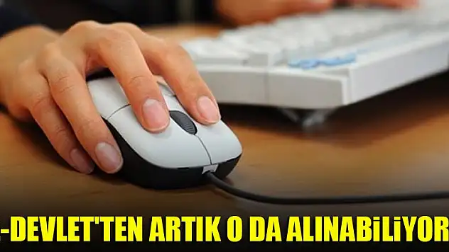 E-devlet'ten artık o da alınabiliyor!