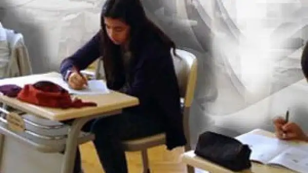 Dershane yerine 'carter school' modeli