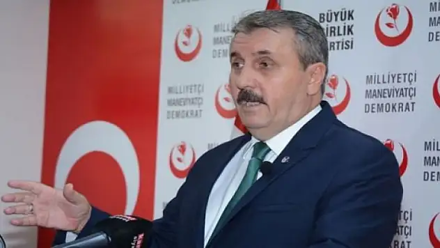 Destici'den 'Zeytin Dalı' açıklaması