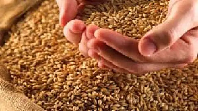 Konya'da hububat fiyatları