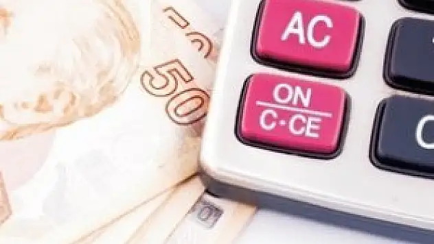 Vergi cezasında rekor