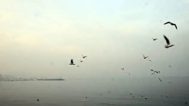 Çanakkale Boğazı'nda ulaşıma sis engeli