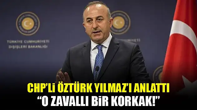 Çavuşoğlu'ndan CHP'li Öztürk'e: Zavallı korkak
