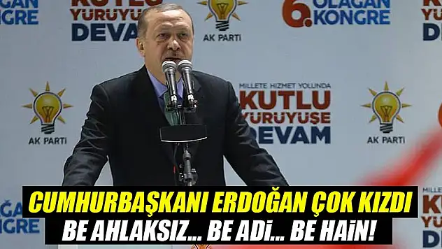 Erdoğan'dan Afrin bildirgesine sert tepki!