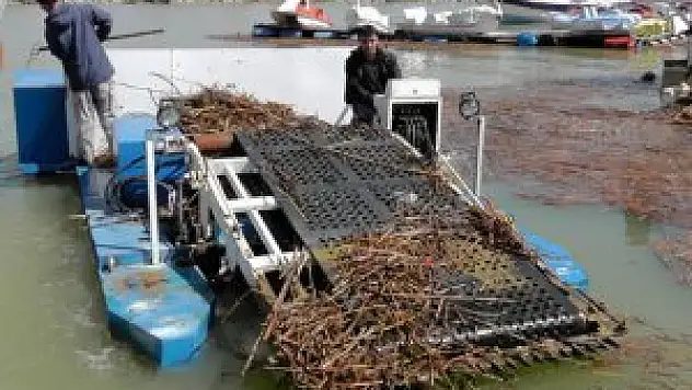 Beyşehirliler göldeki kirliğin temizlenmesini istiyor