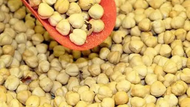 Gribe karşı fındık ile savunma