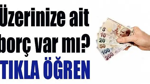 Trafik Para cezası, motorlu taşıtlar vergisi ve vergi borcunuz var mı?