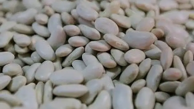 Kuru fasulyede gümrük vergisi sıfıra indiriliyor