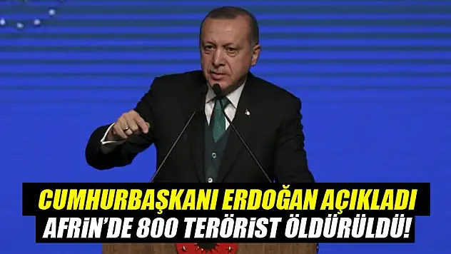 Afrin'de 800 terörist öldürüldü