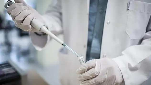 Kanser tedavisi araştırmasında umut veren çalışma