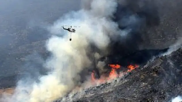 California'da korkutan orman yangını