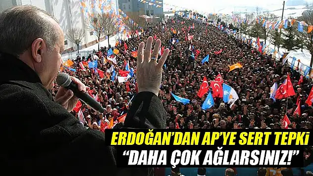 Erdoğan'dan sert tepki: Daha çok ağlarsınız