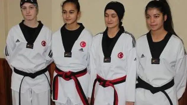 Beyşehirli tekvandocu Türkiye 2. oldu