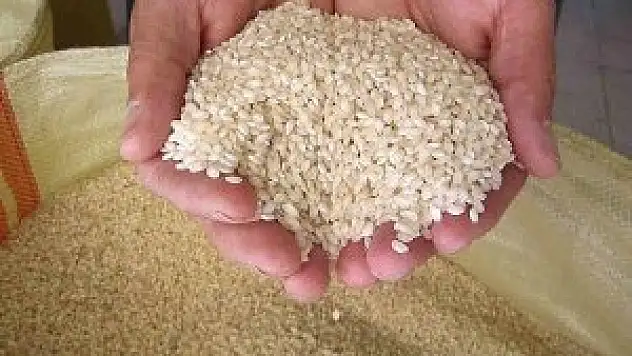 TMO marketlerde pirinç satacak