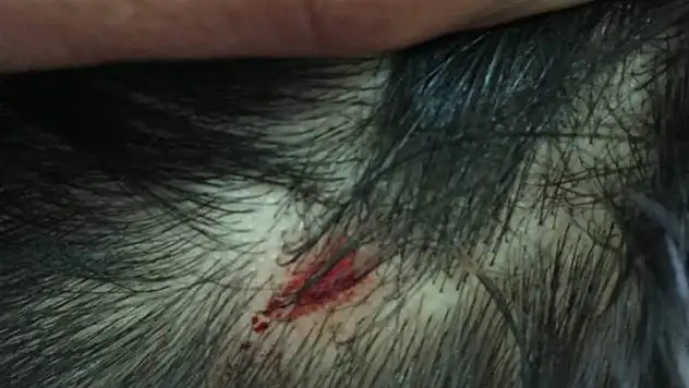 Konya'daki maçta büyük kavga!