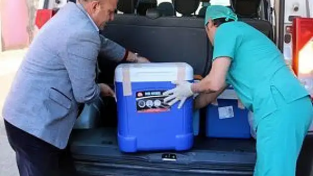 Türkiye dünyada böbrek naklinde 3. sırada