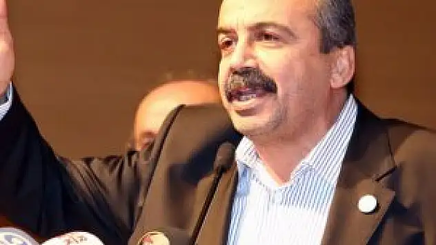 Sırrı Süreyya Önder: CHP'yi paramparça edeceğiz