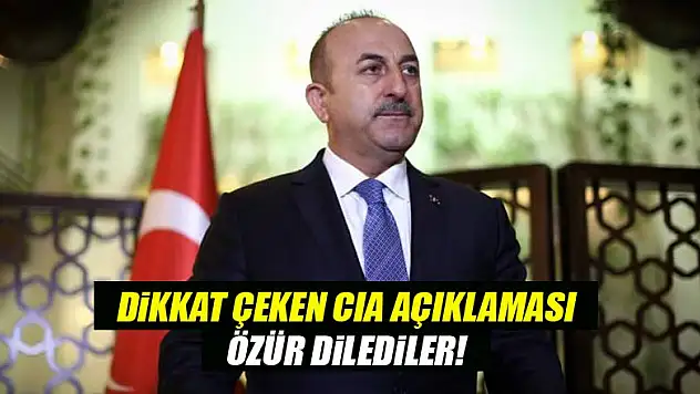 Bakan Çavuşoğlu'ndan flaş CIA açıklaması!