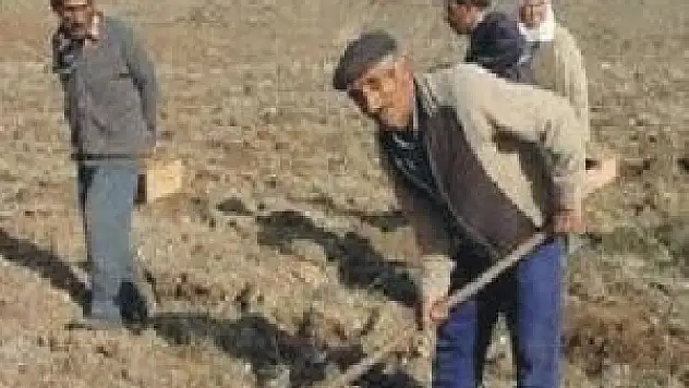 Karın yağmaması çiftçiyi endişelendiriyor