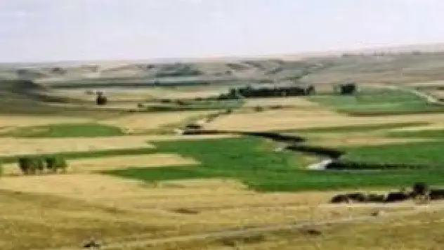 Konya'da 5 ilçede tarım arazileri toplulaştırılıyor