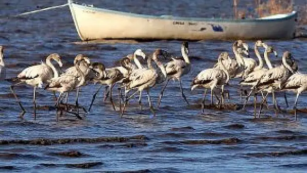 Manyas Gölü 200 metre çekildi