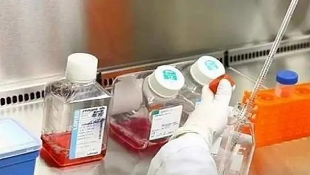 H7N4 ilk kez bir insanda görüldü!