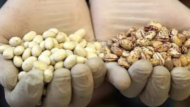 Kuru fasulyede gümrük vergisi sıfırlandı