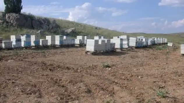 Beyşehir'da arıcılık