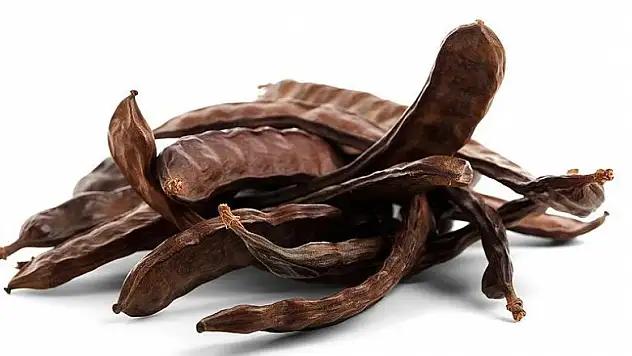 Keçiboynuzundan besin değeri yüksek çikolata üretildi