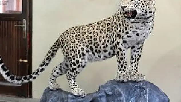 Diyarbakır'da öldürülen leopar dolduruldu