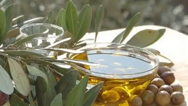 Zeytin ve zeytinyağı 5 ülkede tanıtılacak