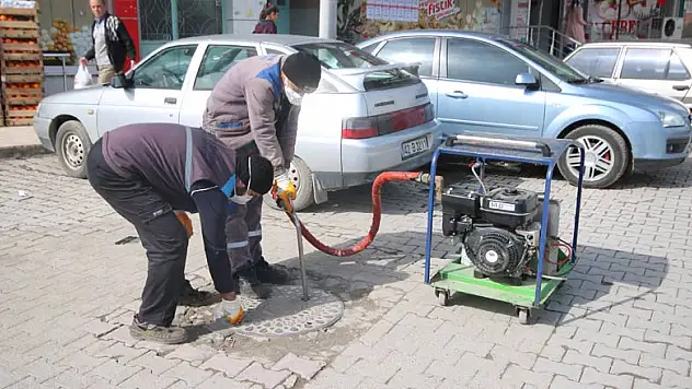 Beyşehir'de haşereyle mücadele çalışmaları