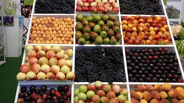 'Meyvenin şekilsiz ve kurtlu olanını tüketin'