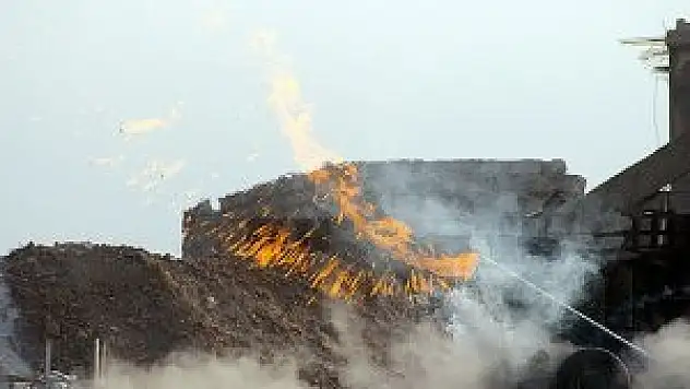 Esed karadan ve havadan bombaladı: 64 ölü