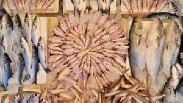 Karadeniz'de balık türleri yok oluyor