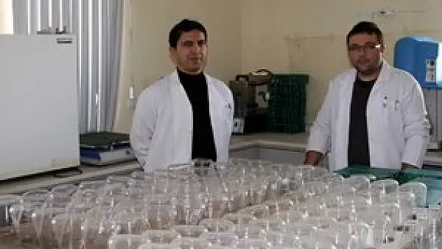 Kulu'da 24 bin 400 toprak analiz edildi